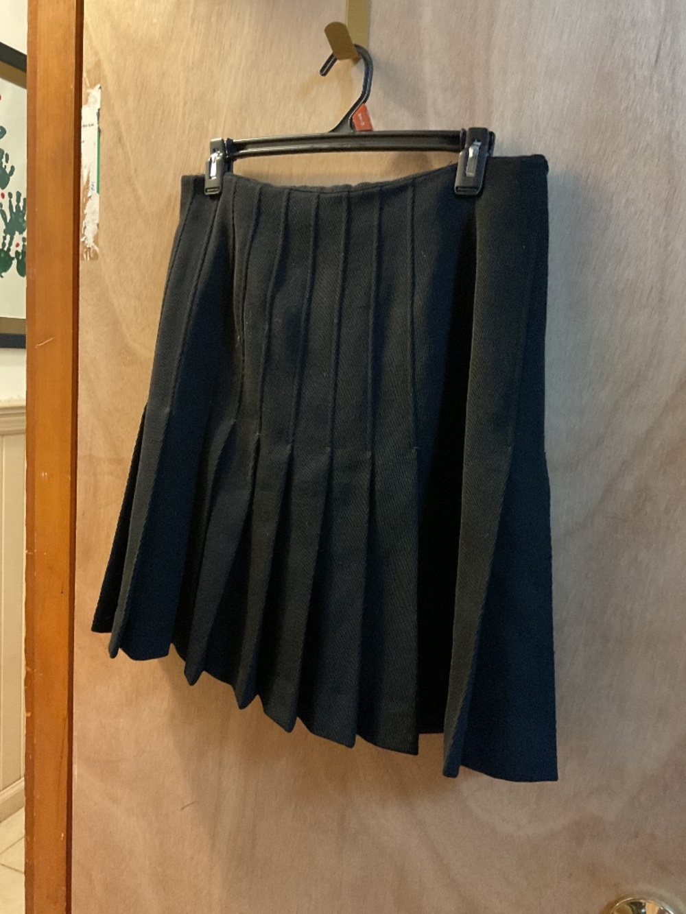 Siriโs pleated skirts